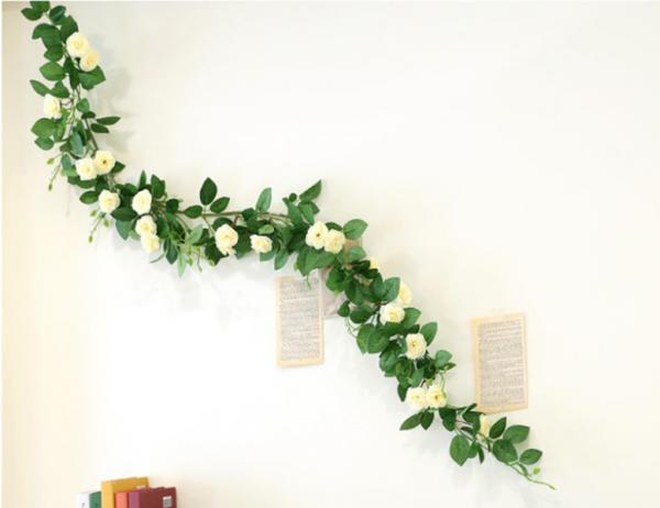 백장미 넝쿨 [5줄기]