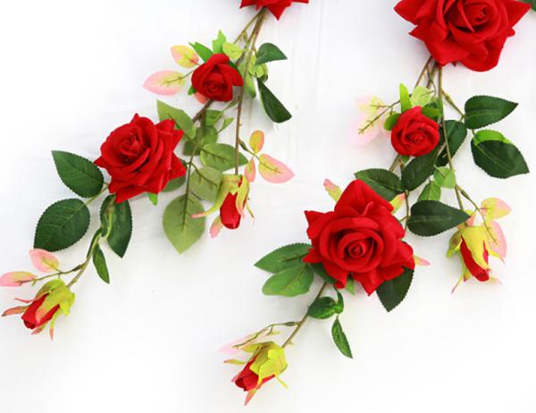 붉은장미 넝쿨 [5줄기]